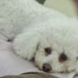 Meet your Posher, Maralyn